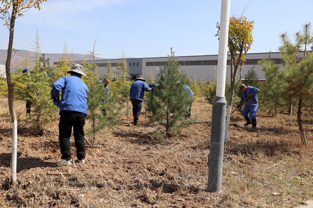 星火機床物業(yè)公司開展樹木移栽活動 星火機床物業(yè)公司開展樹木移栽活動